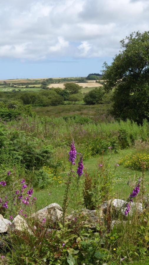 Higher Trenear Farm B&B Helston Exteriér fotografie